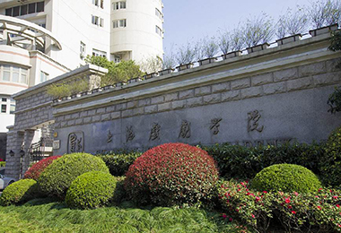 Shanghai Theatre Academy